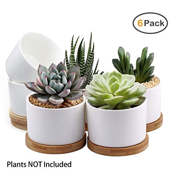 Succulent Pots, ZOUTOG White Mini 3.15 inch Ceramic Flower Planter Pot with Bamboo Tray, Pack of 6 - Plants Not Included