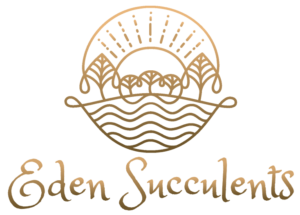 Eden Succulents
