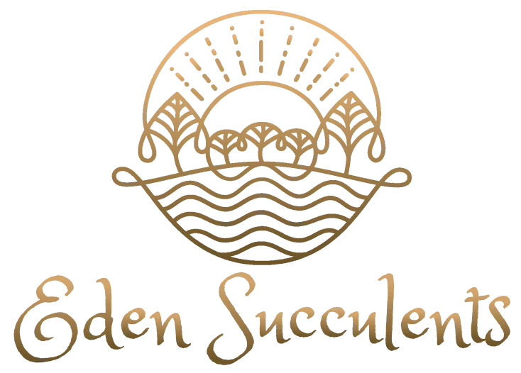 Eden Succulents
