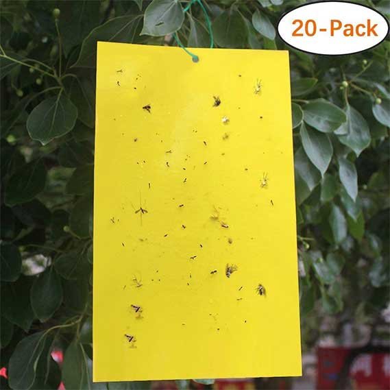Trapro 20-Pack Dual-Sided Yellow Sticky Traps
