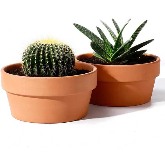 Potey Terracotta Shallow Planters for Succulent