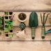 Succulent plant safety