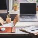 Everything You Need to Know About Having Succulents in Your Office